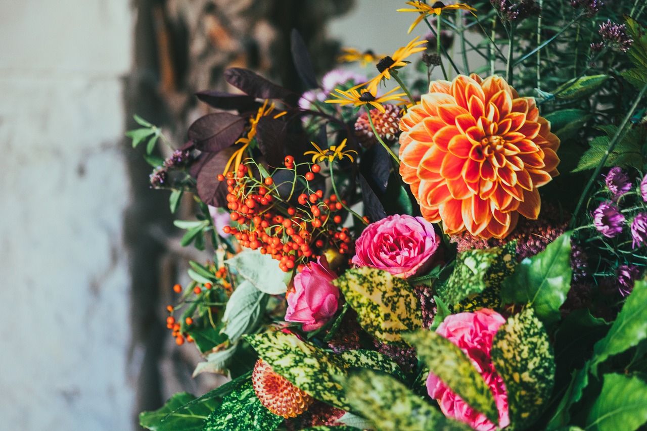 Image - flowers colorful display decoration