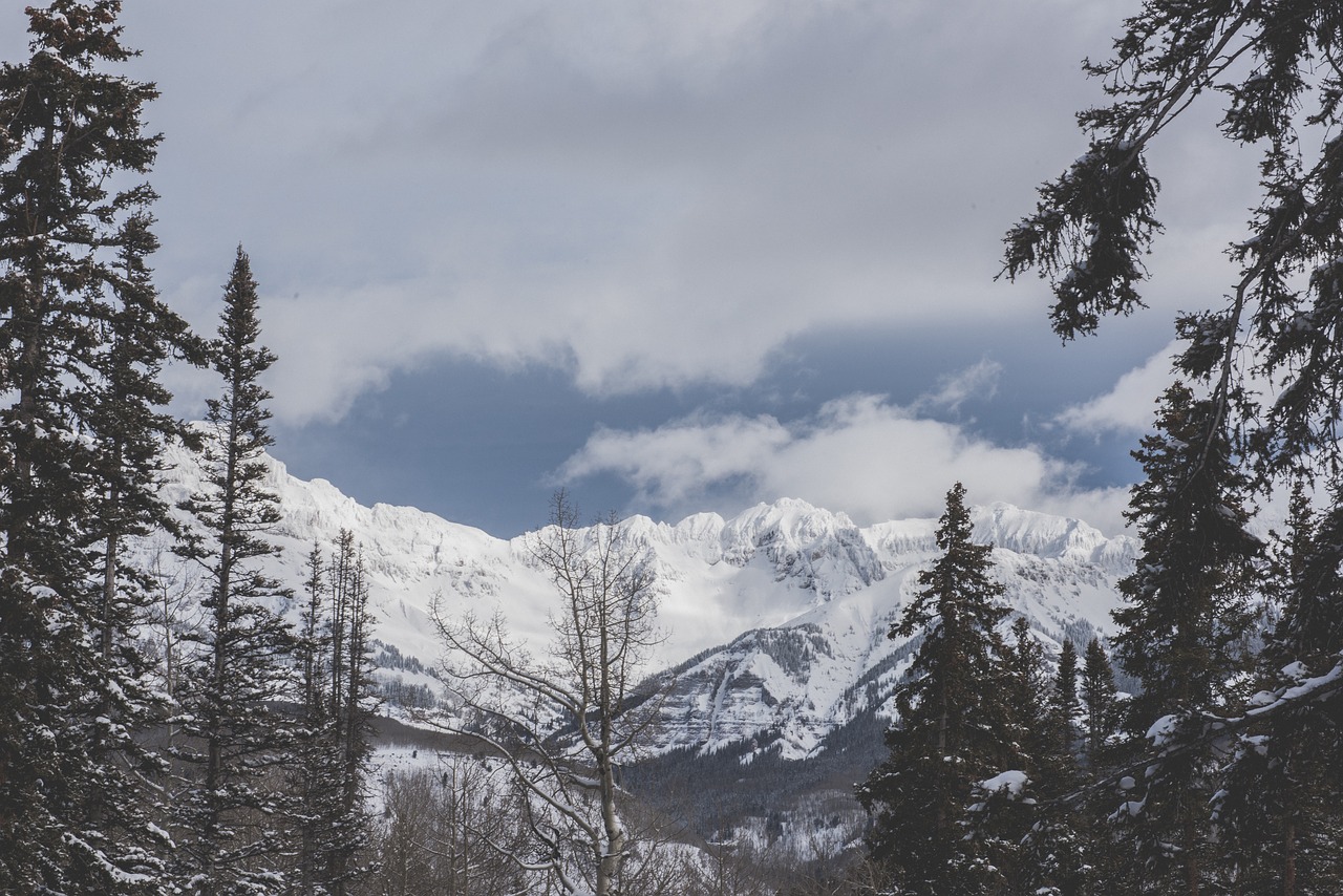 Image - trees snow winter fog mountains