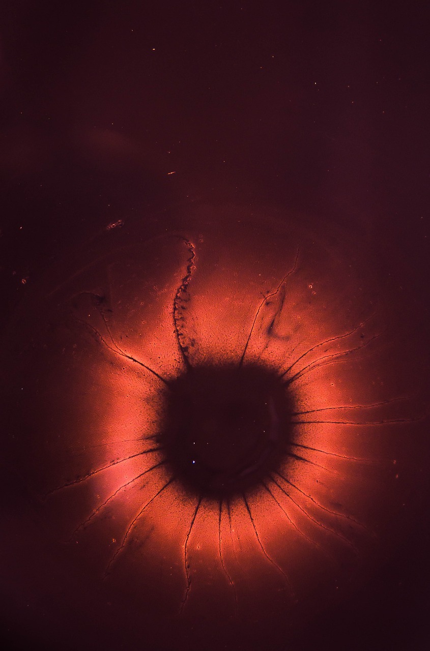 Image - eye red iris pupil macro