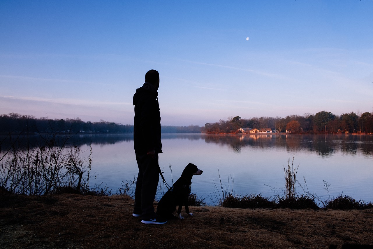 Image - people man silhouette alone dog