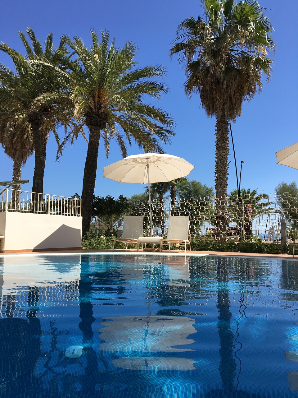 Image - summer holidays swimming pool trees