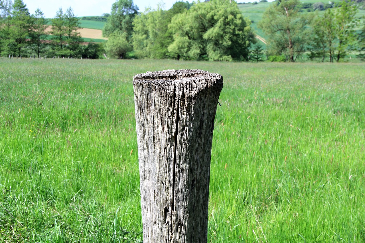 Image - pile wood pile wood post