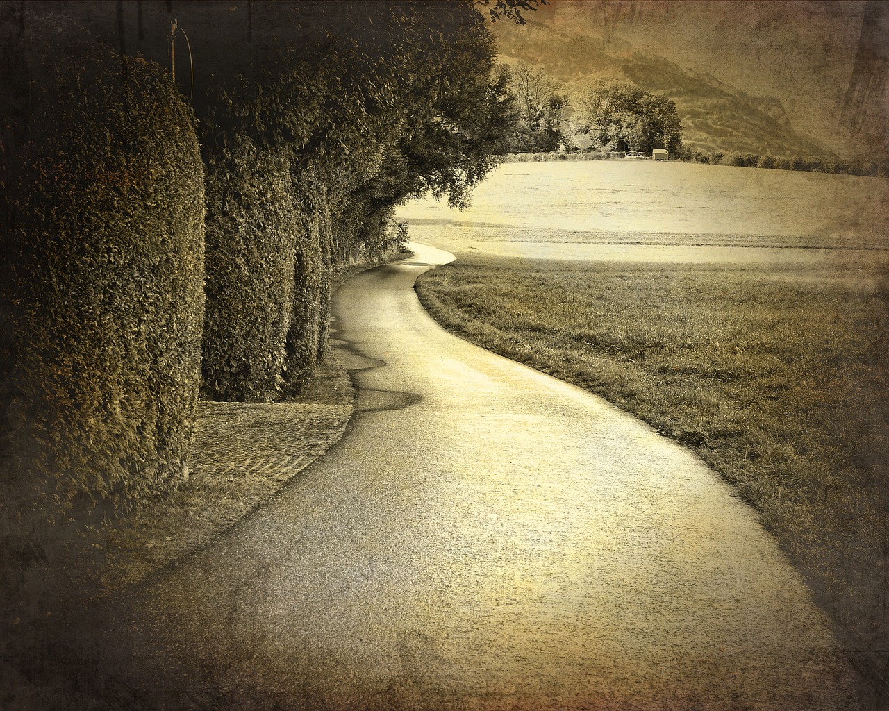 Image - field road lane meadow nature