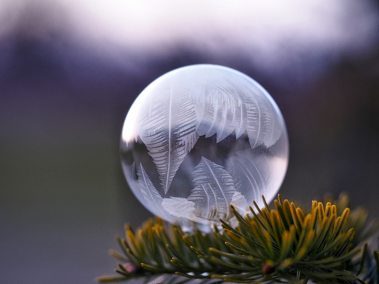 Image - ball circle round white glass