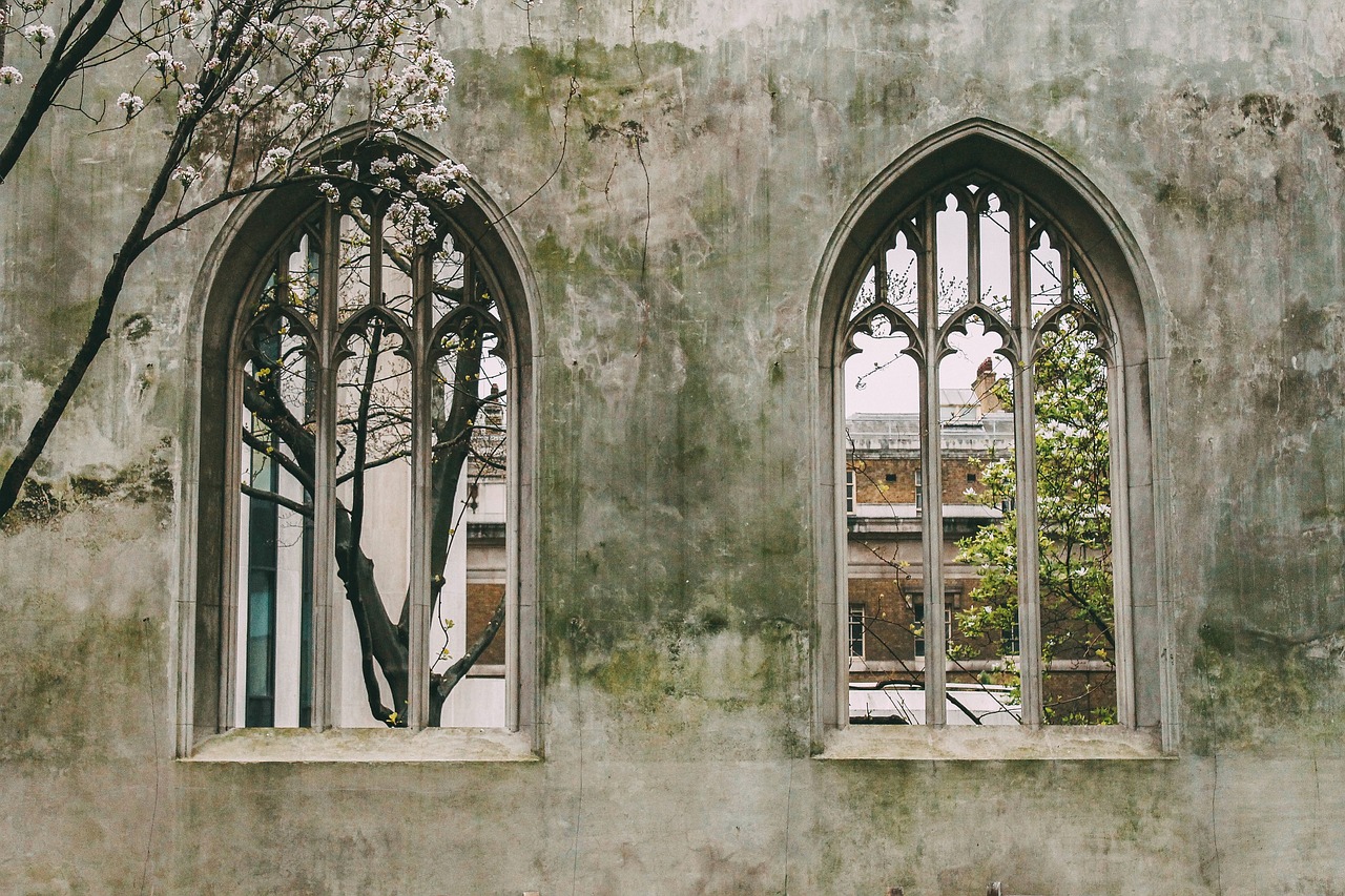 Image - windows old trees wall