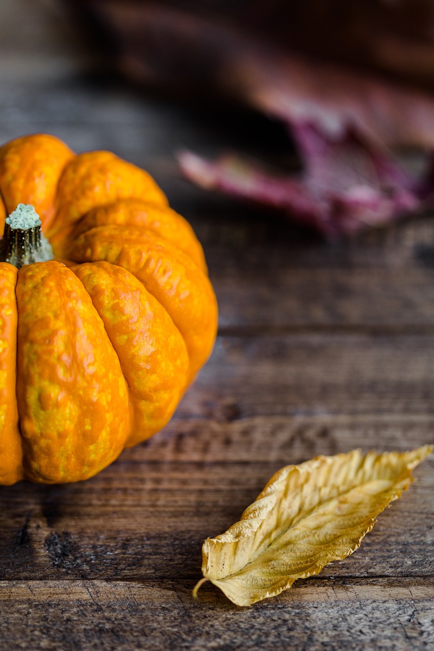 Image - leaves pumpkin halloween autumn