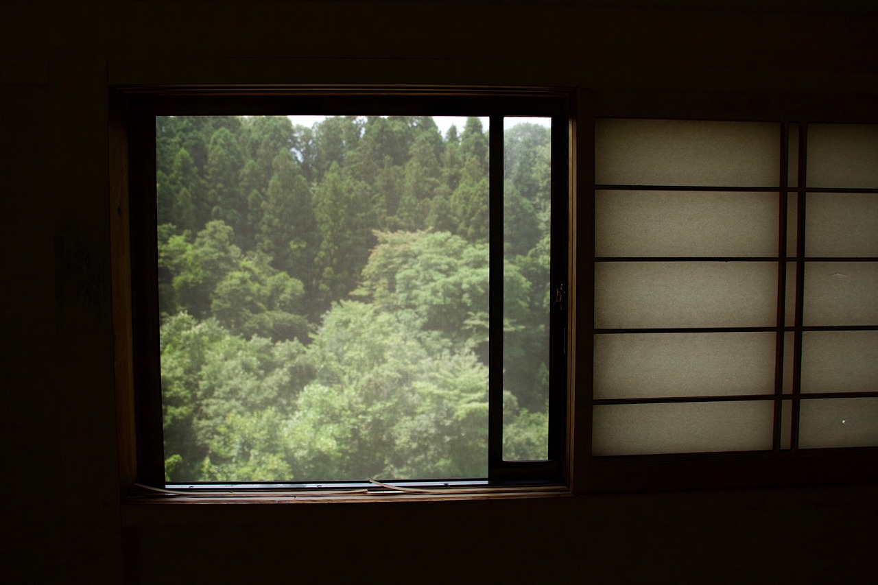 Image - window nature trees green mountain