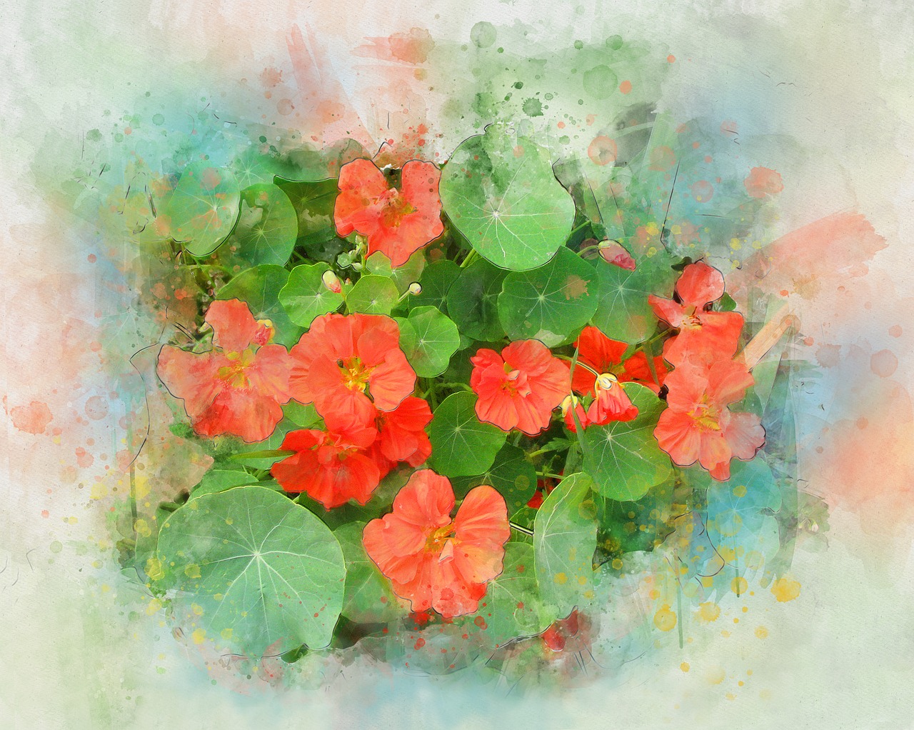 Image - nasturtium flower watercolor summer