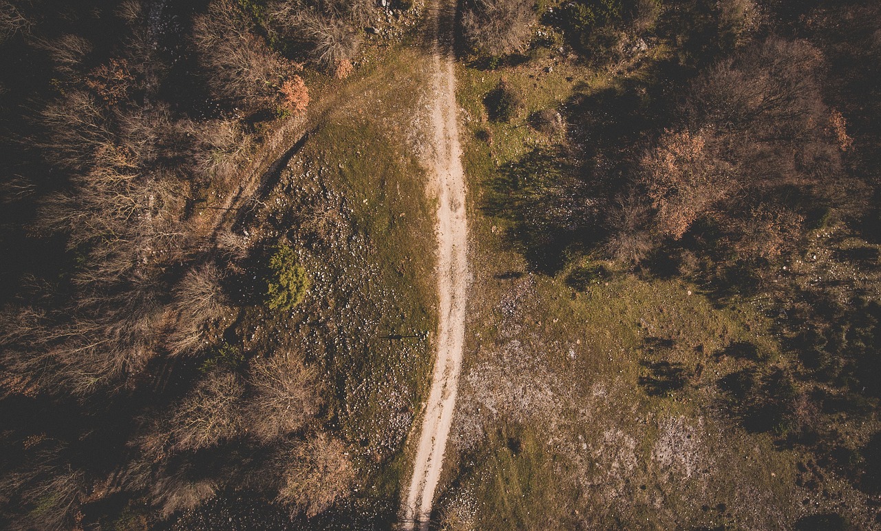 Image - field trees plant nature aerial