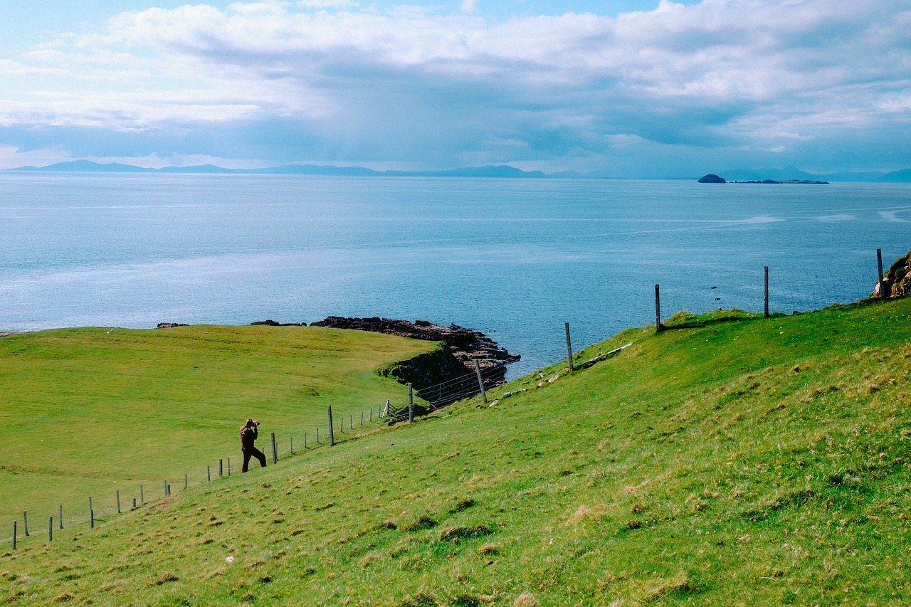 Image - green grass lawn wire fence sea