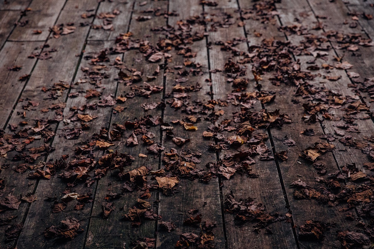 Image - leaf fall wooden floor