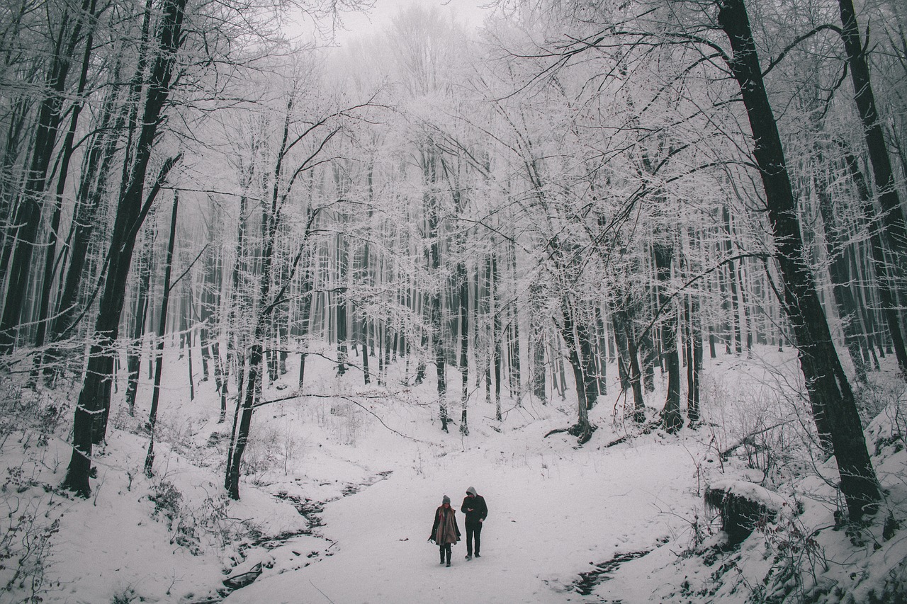 Image - people couple travel outdoor