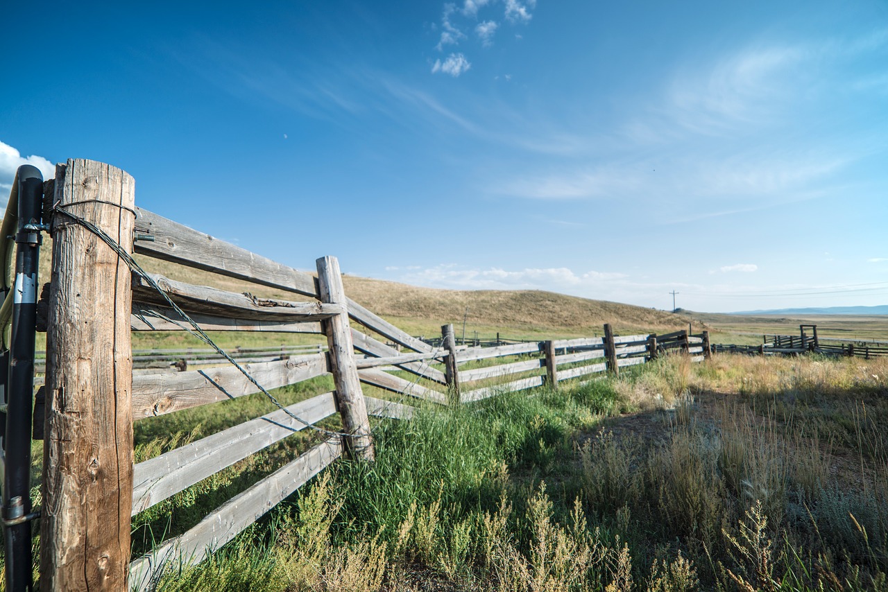 Image - wood fence green grass landscape