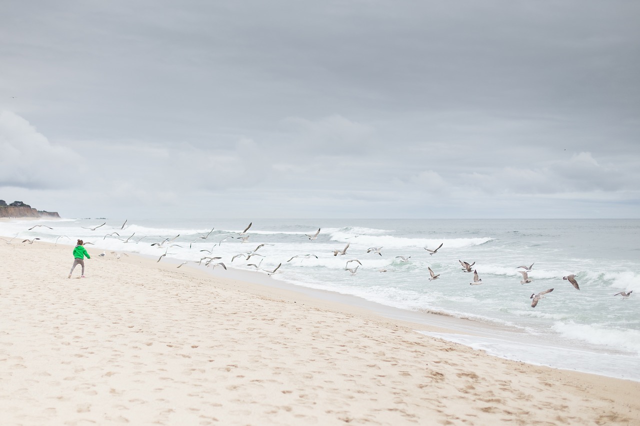 Image - sea ocean blue water nature white