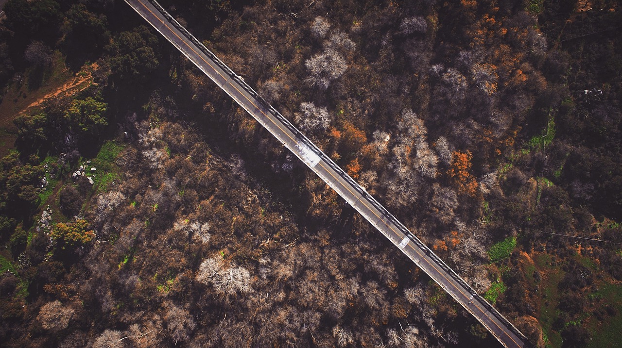 Image - aerial view road street path