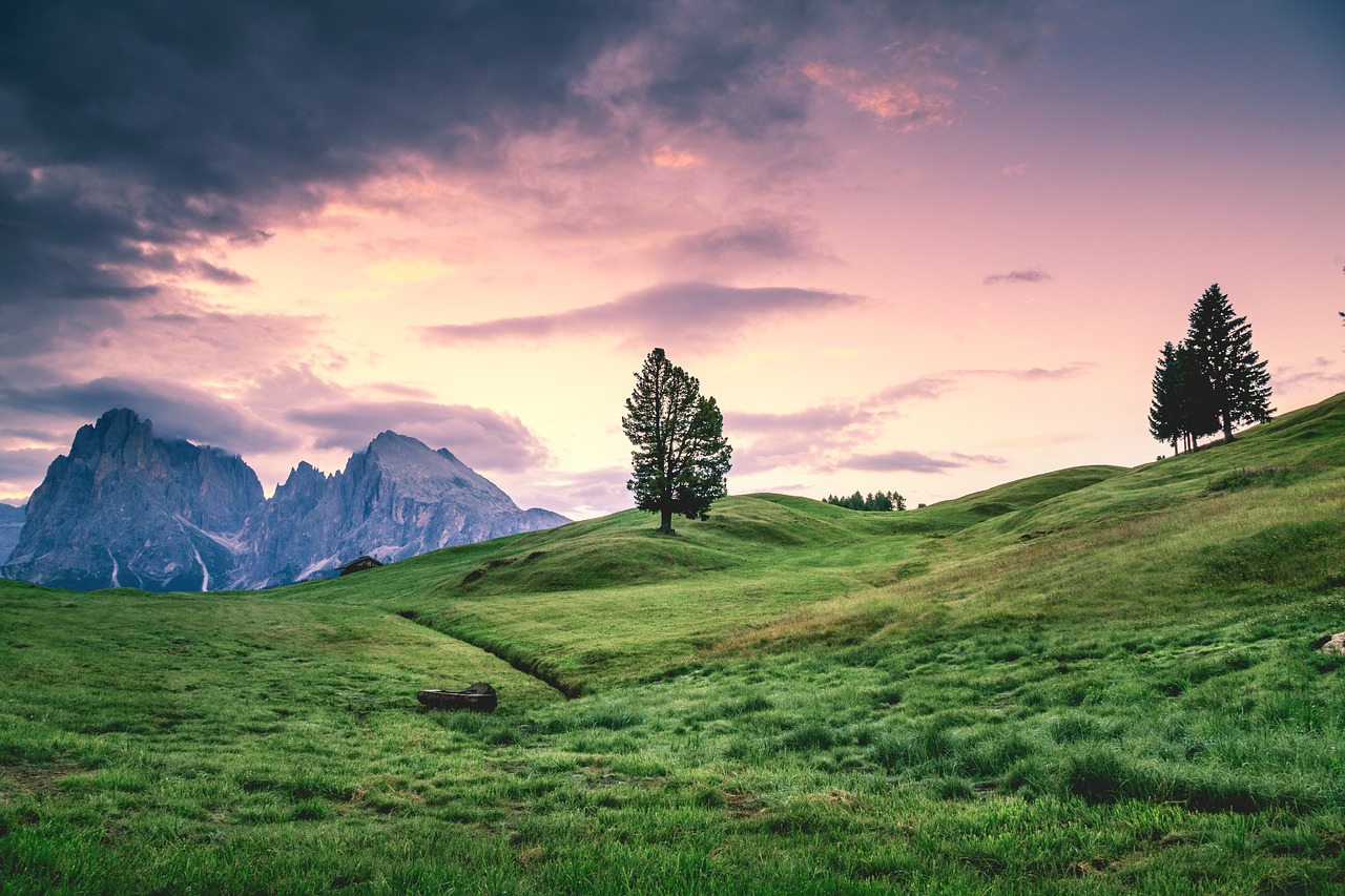 Image - green grass mountain highland tree