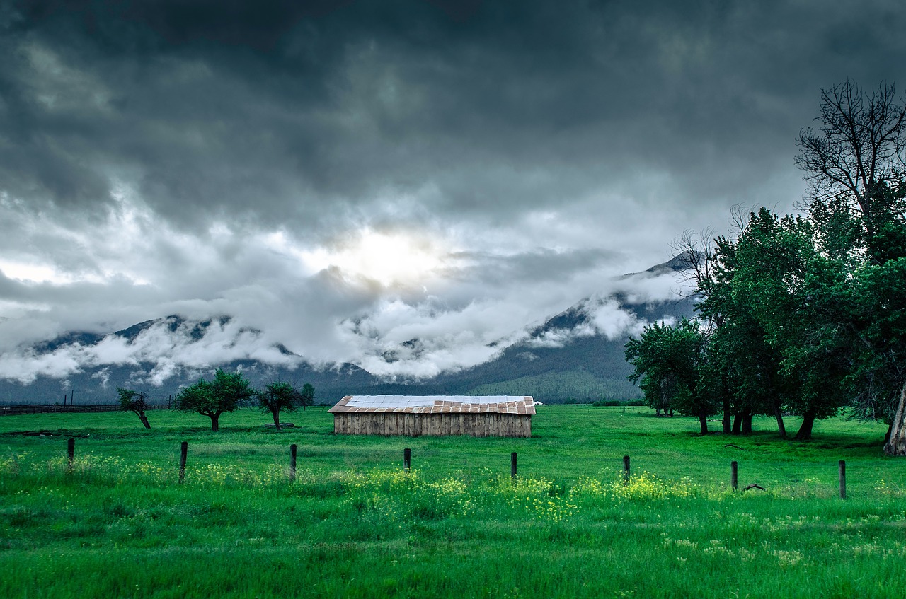 Image - green grass lawn field nature