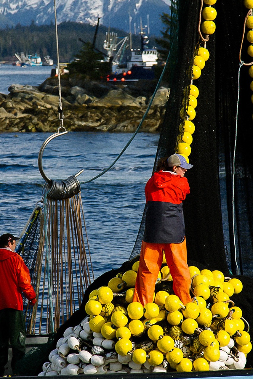 Image - sail people men yellow net ocean