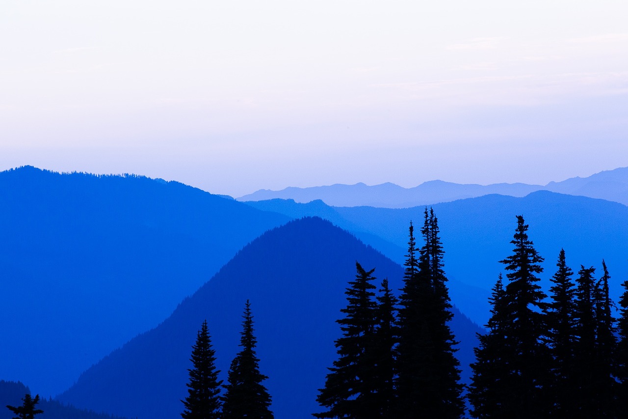 Image - blue shadow trees dark mountain