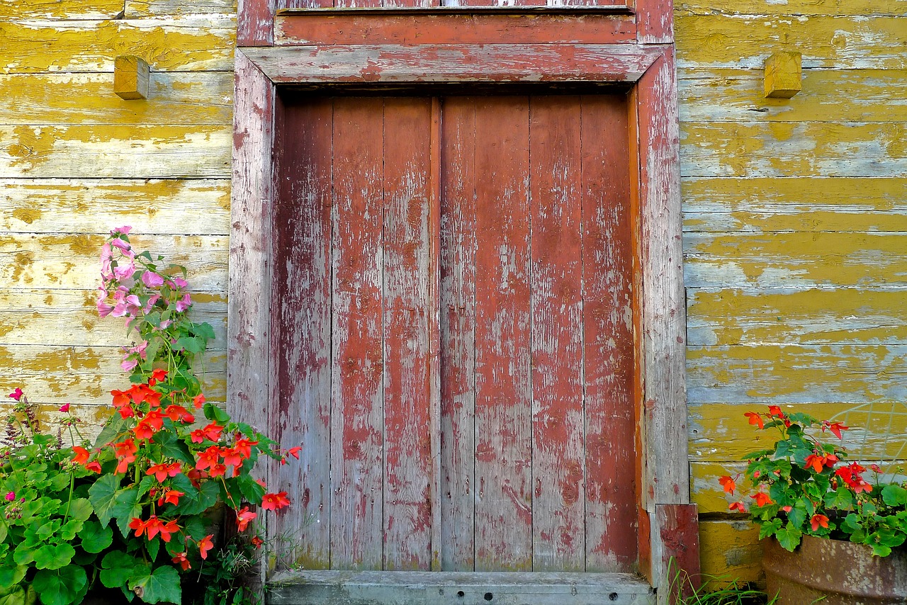 Image - wood pain orange yellow plant