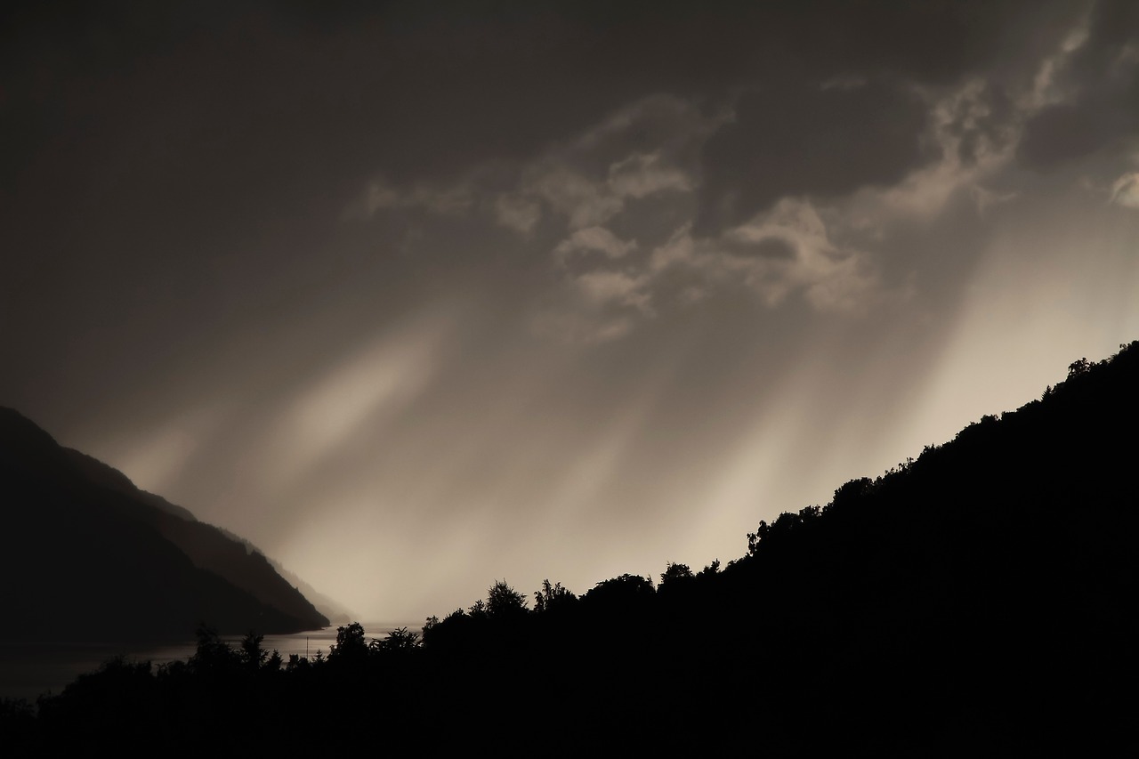 Image - ray mountain trees silhouette
