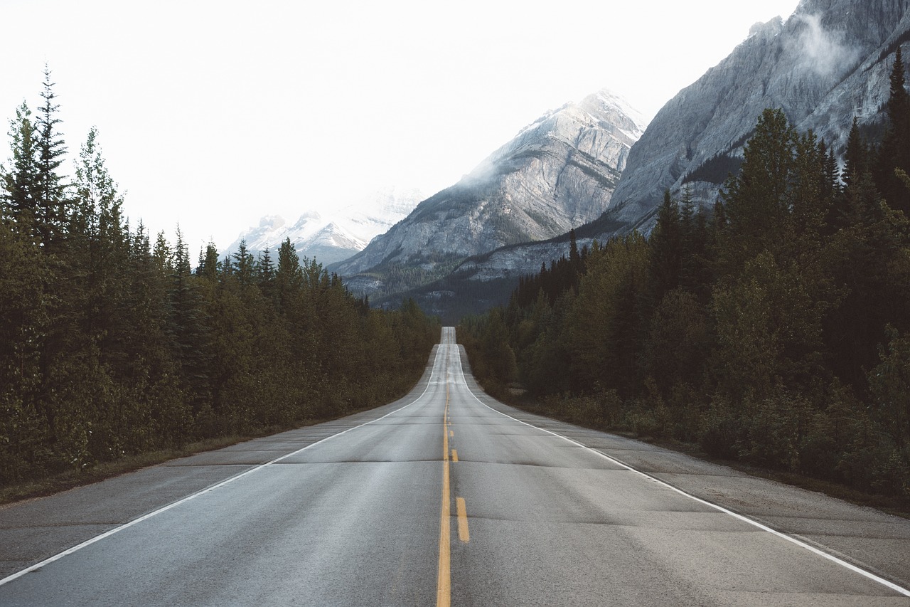 Image - road path trees plant mountain