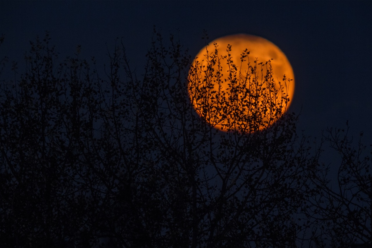 Image - moon circle round dark night sky
