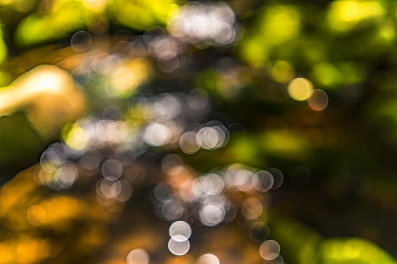 Image - bokeh blur background out of focus