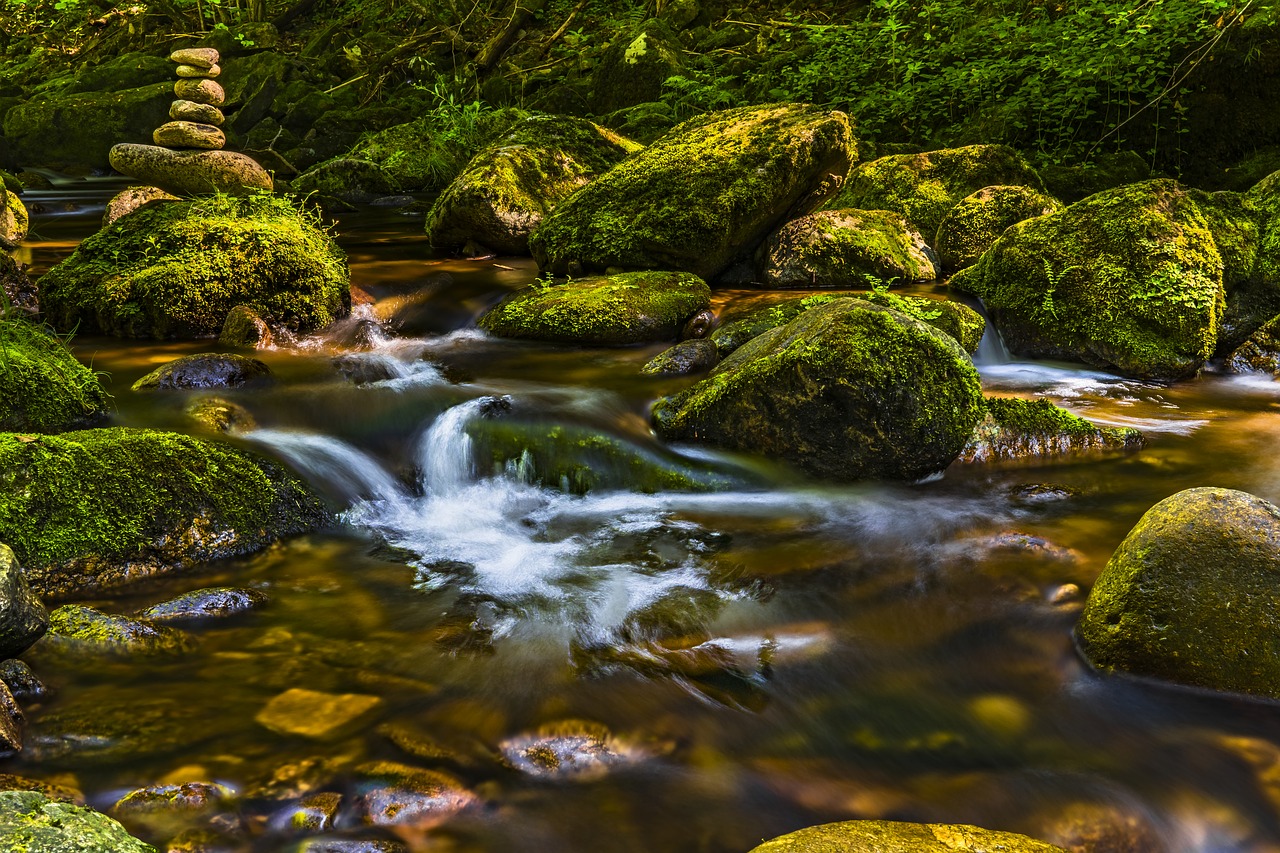 Image - water river nature landscape