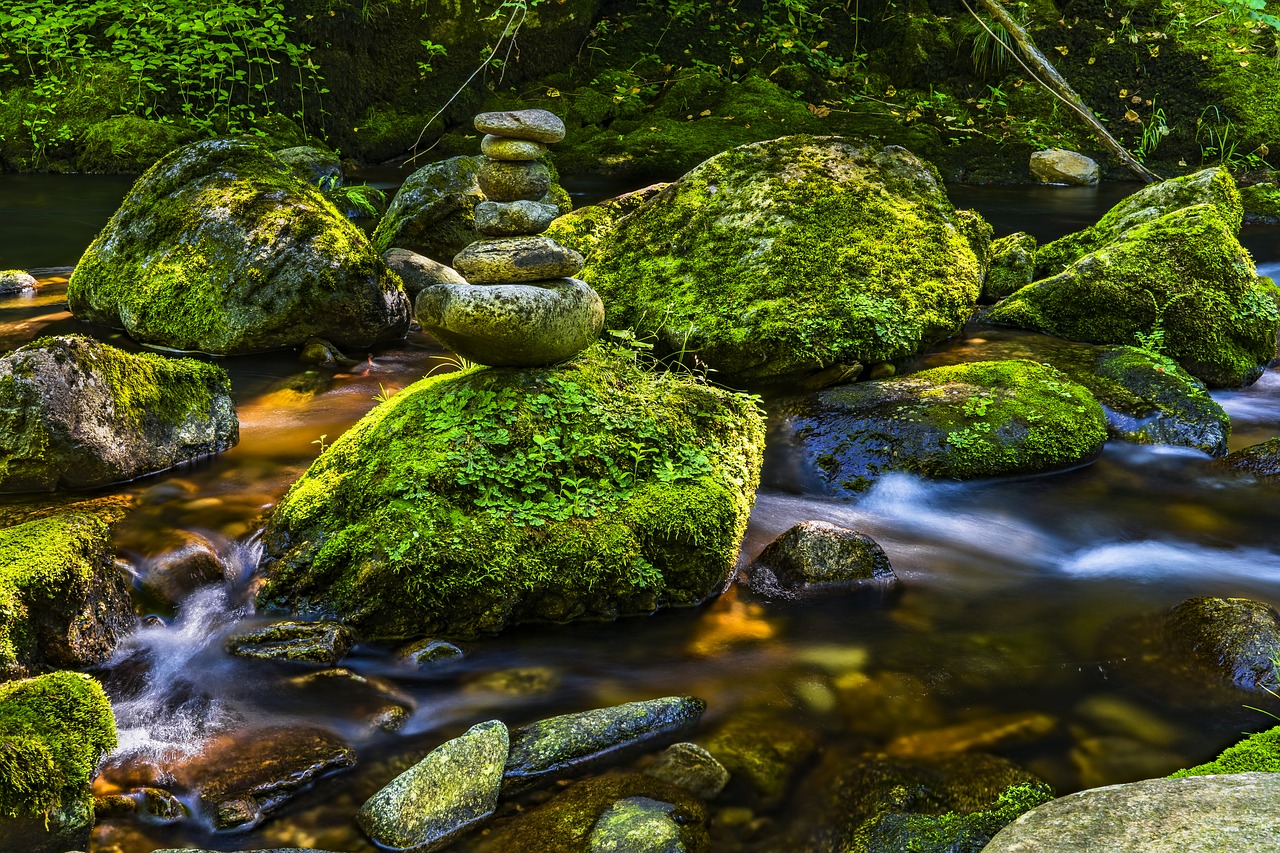 Image - water river nature landscape