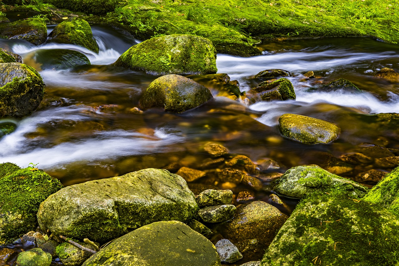 Image - water river nature landscape