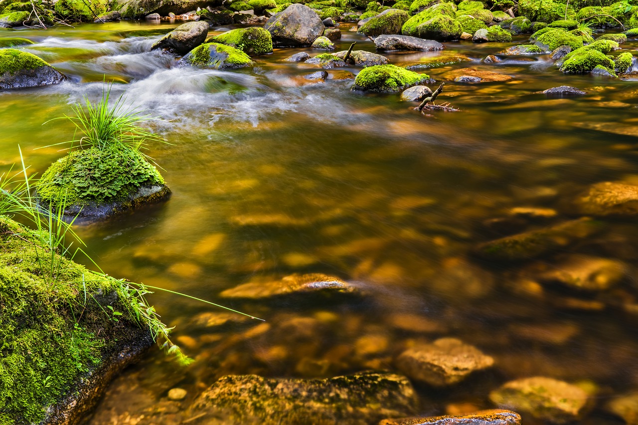 Image - water river nature landscape