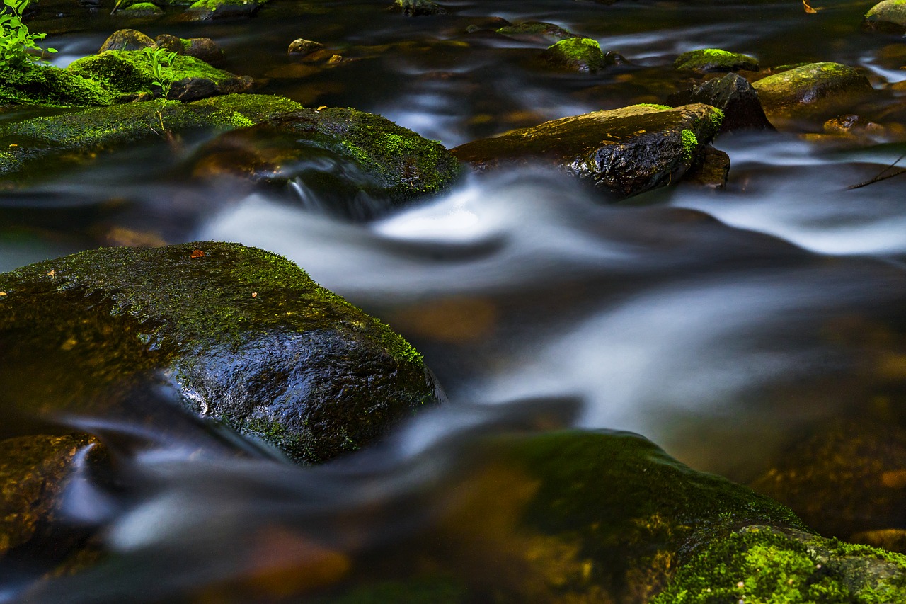 Image - water river nature landscape