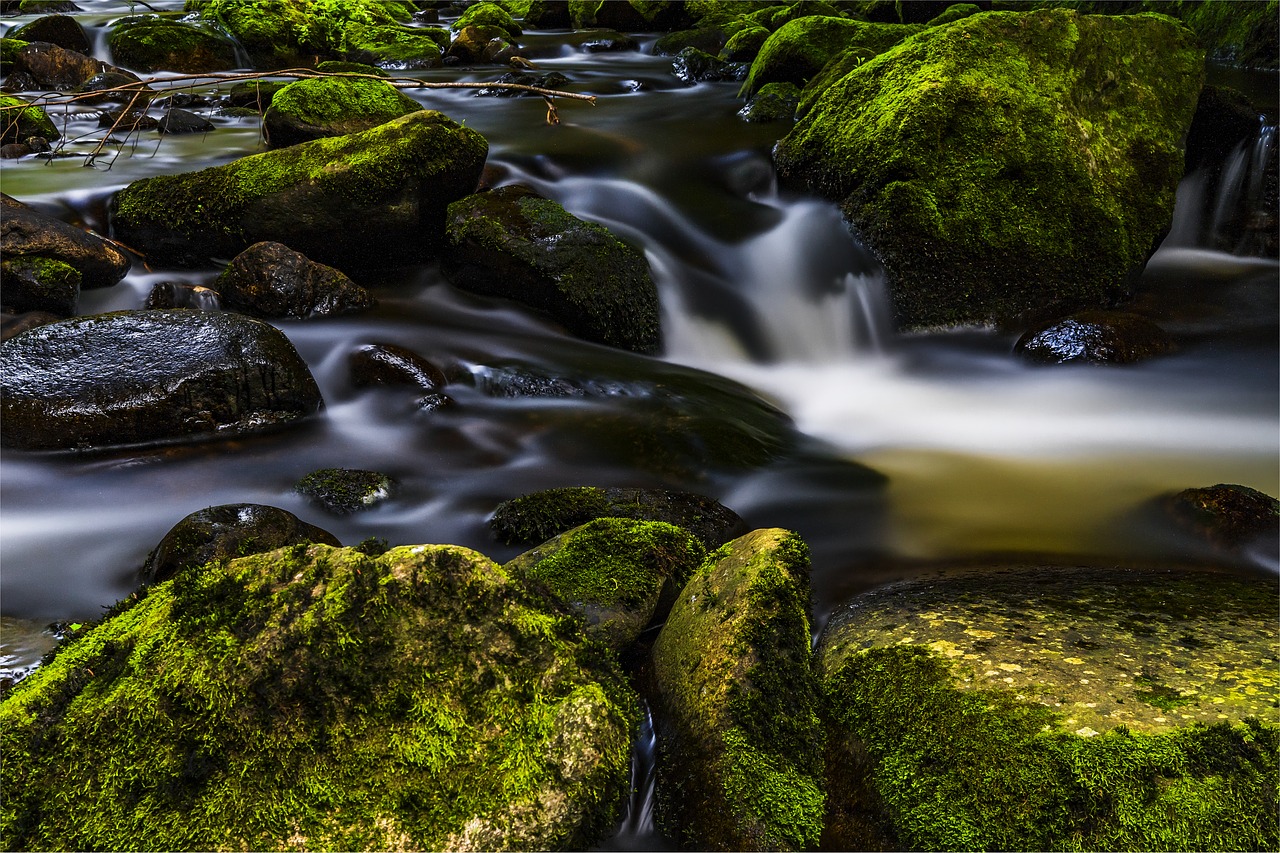 Image - water river nature landscape