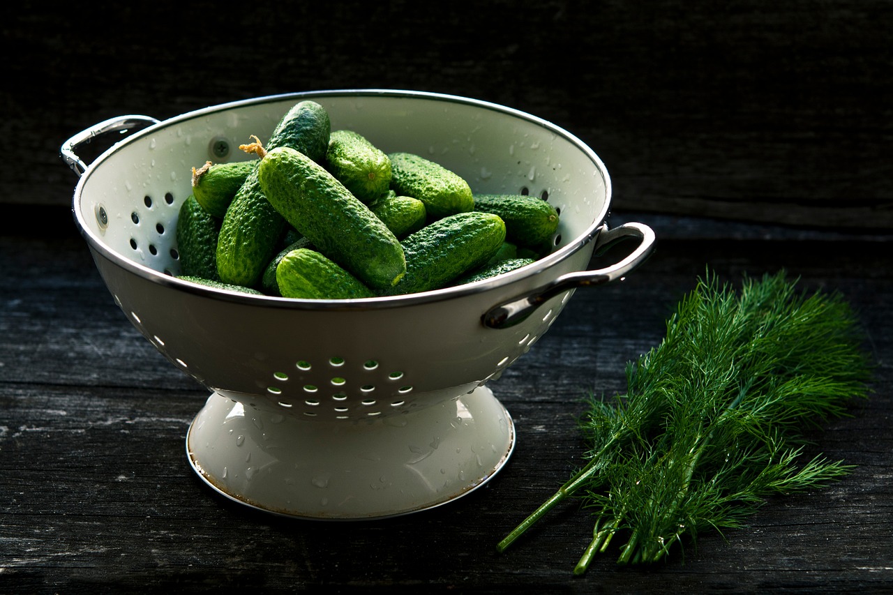 Image - cucumber plant green food