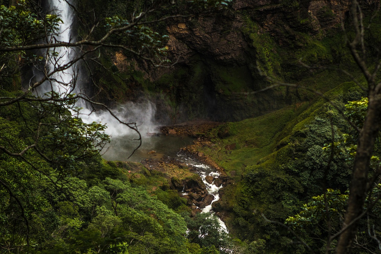 Image - waterfall green grass trees branch