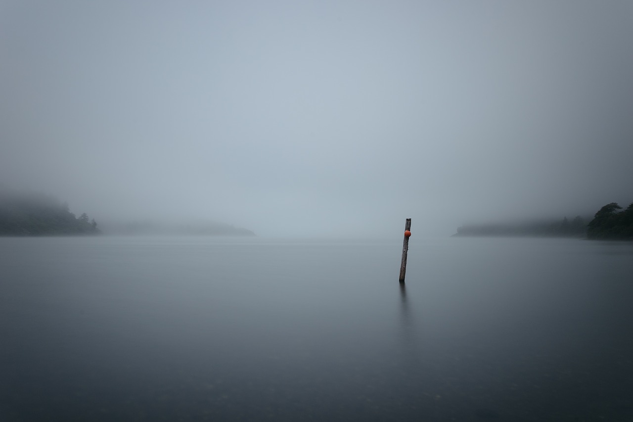 Image - lake water wood fog cold