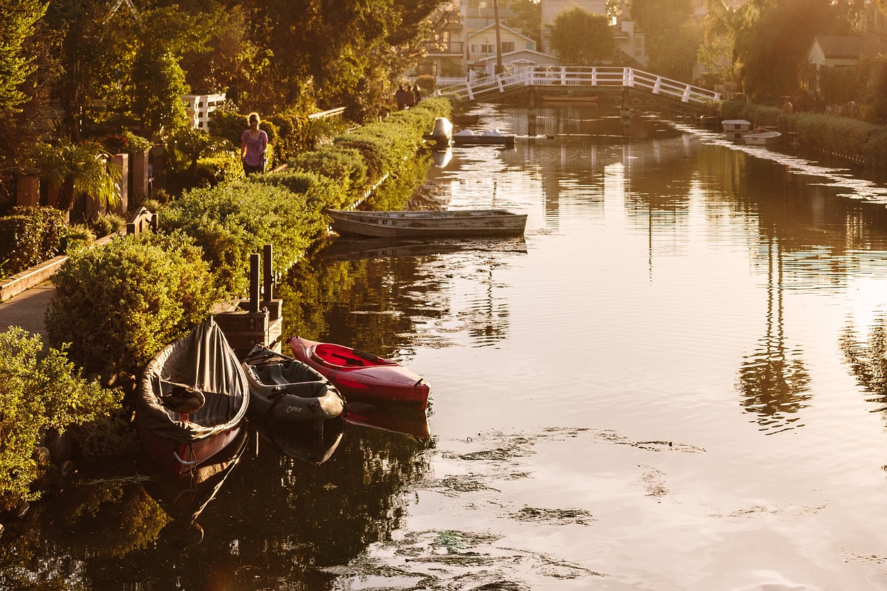 Image - green plant tree river water boat