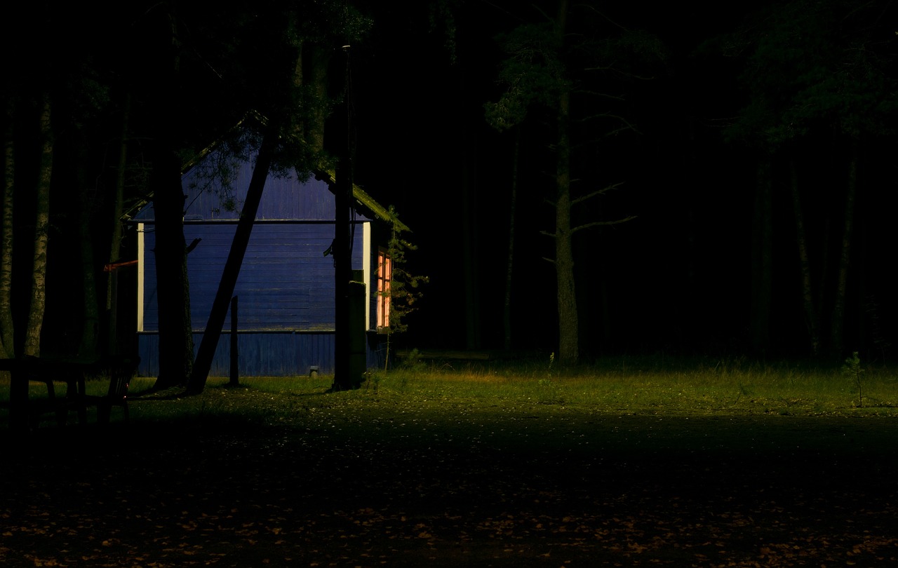 Image - hut cottage green grass dark