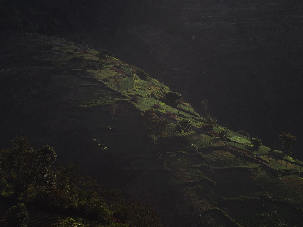 Image - green grass highland mountain