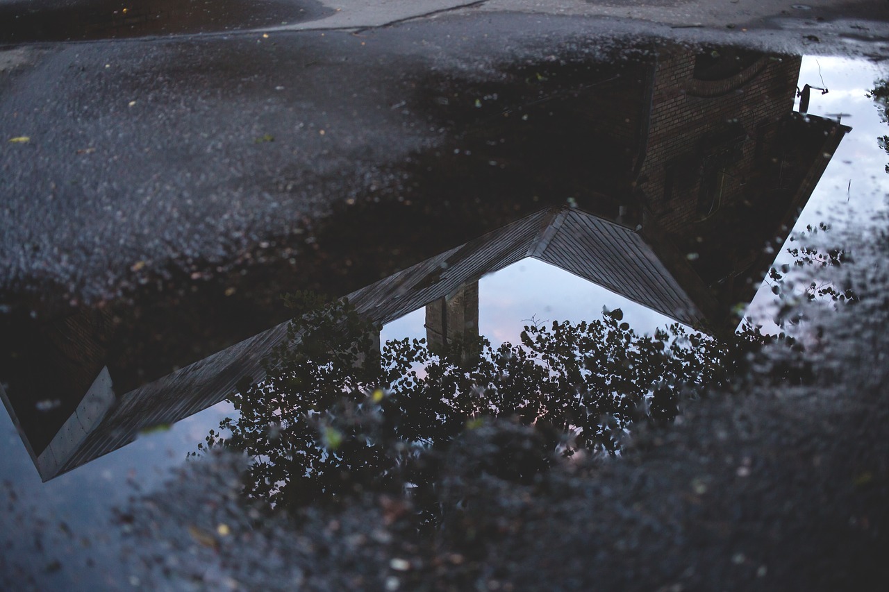 Image - tree plant house sky street water