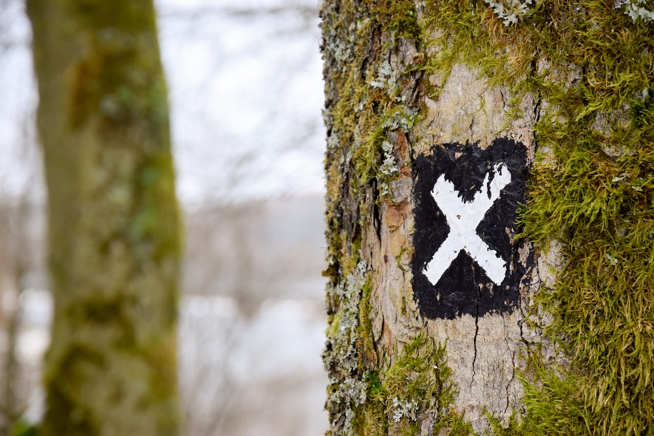 Image - tree grass nature mark letter