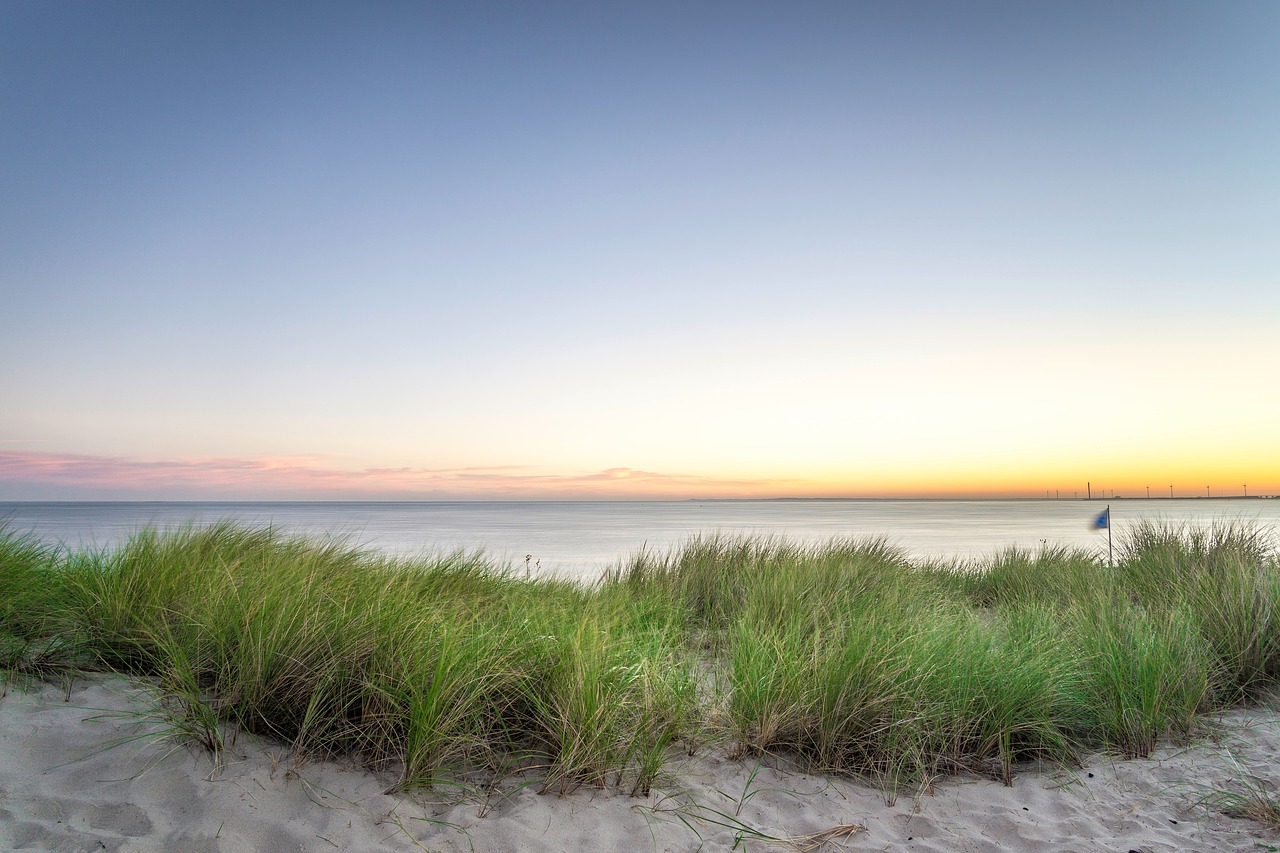 Image - sand green grass beach coast