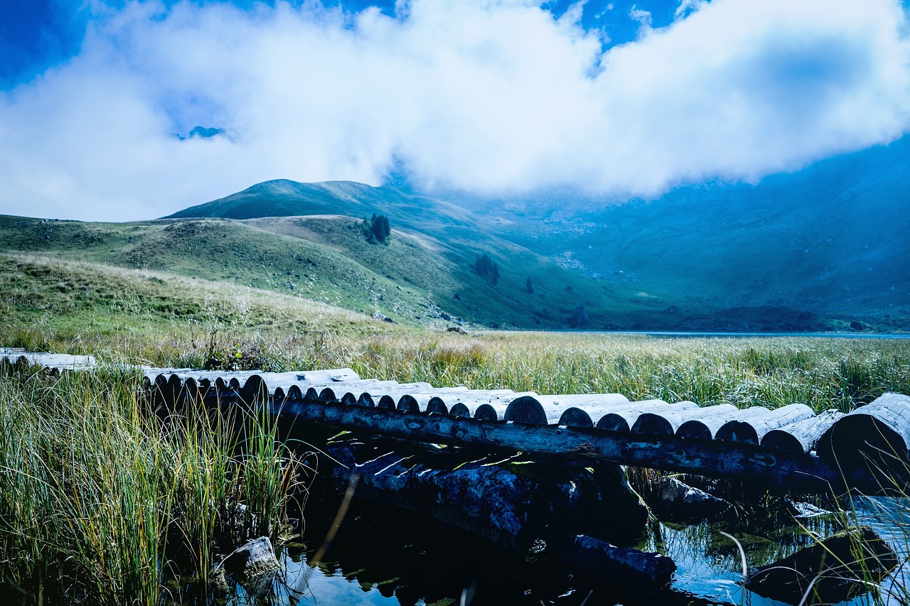 Image - wooden bridge green grass nature