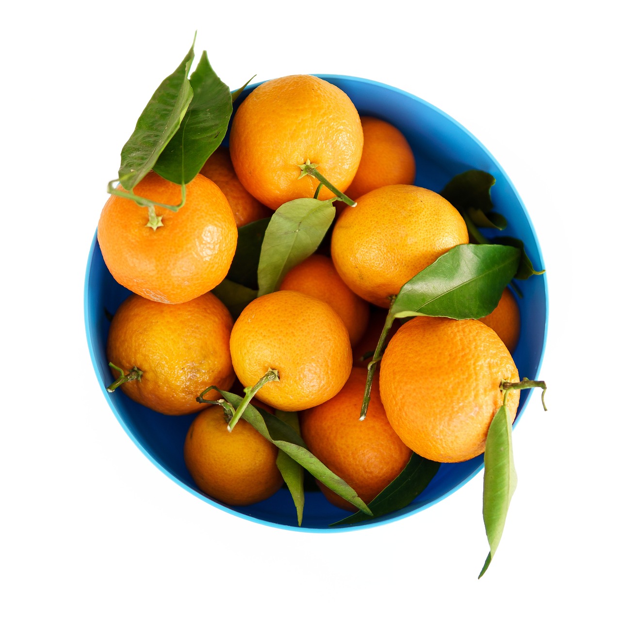 Image - blue bucket container orange fruit