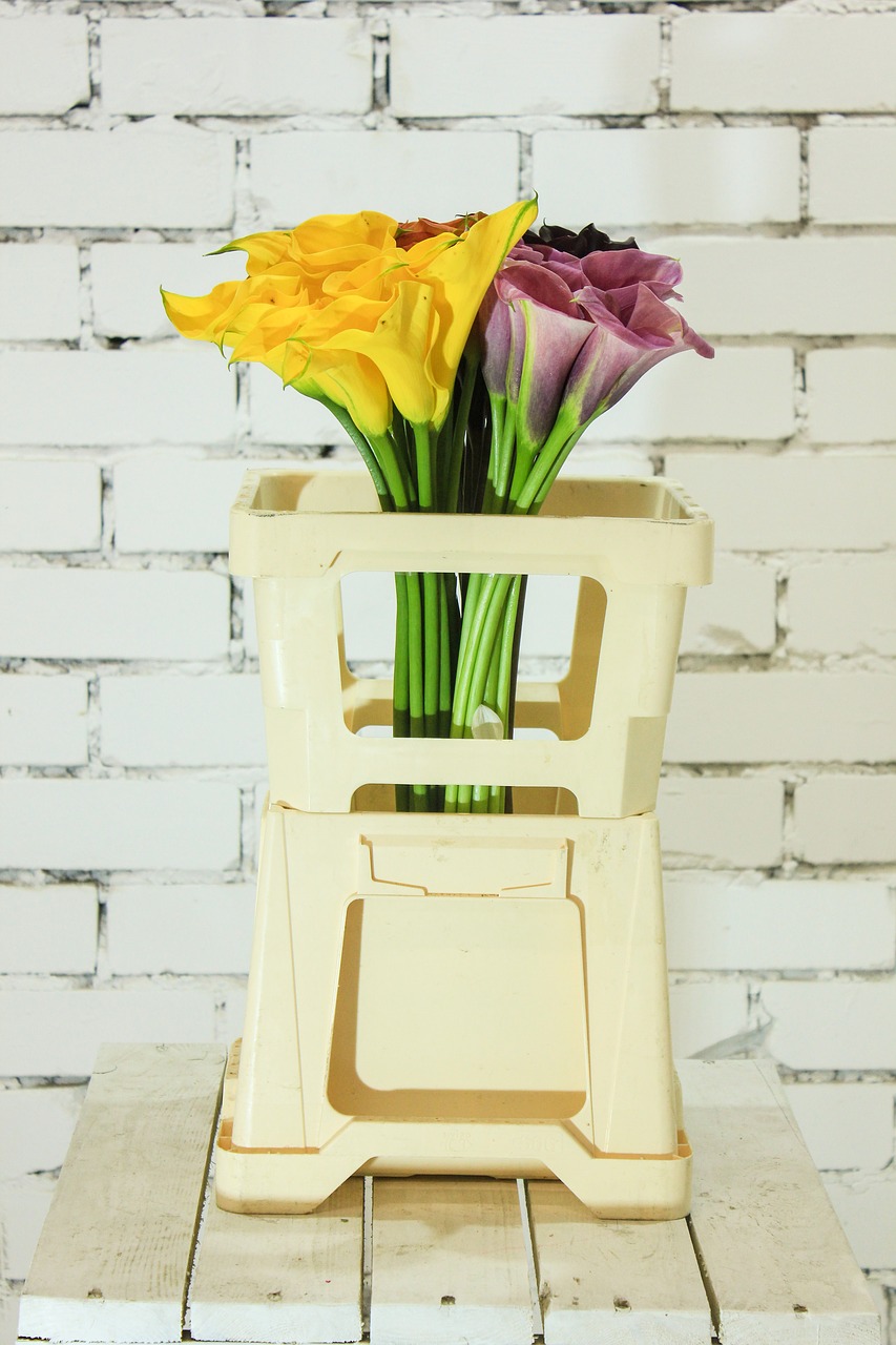 Image - kaali mix flowers brick loft tank