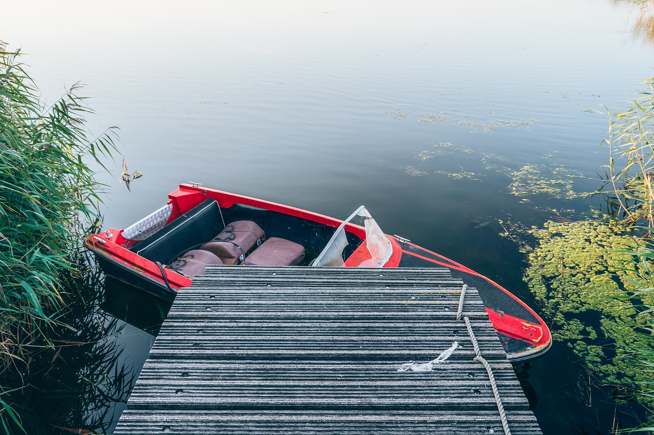 Image - lake water boat grass coast