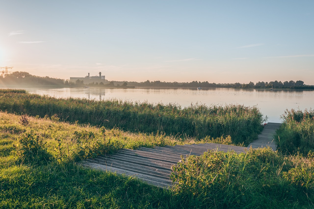 Image - sunrise morning green grass