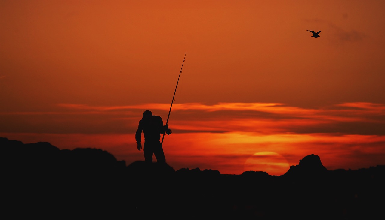 Image - people man alone fishing orange