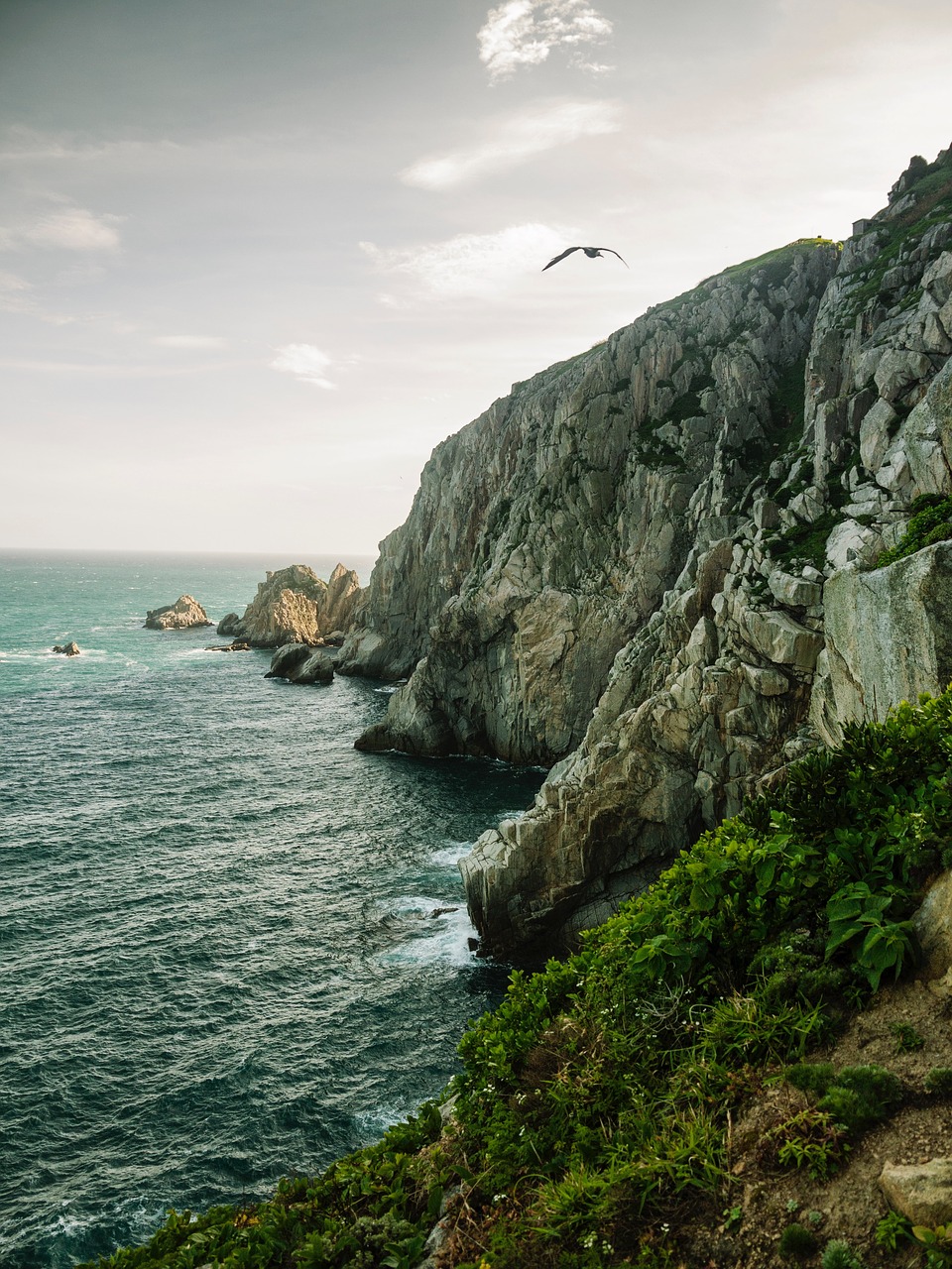 Image - sea ocean water wave nature coast